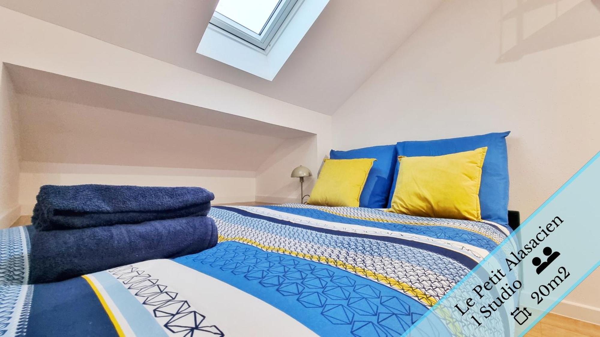 Les Suites Mulhousiennes - Charme & Serenite Mulhouse Eksteriør billede