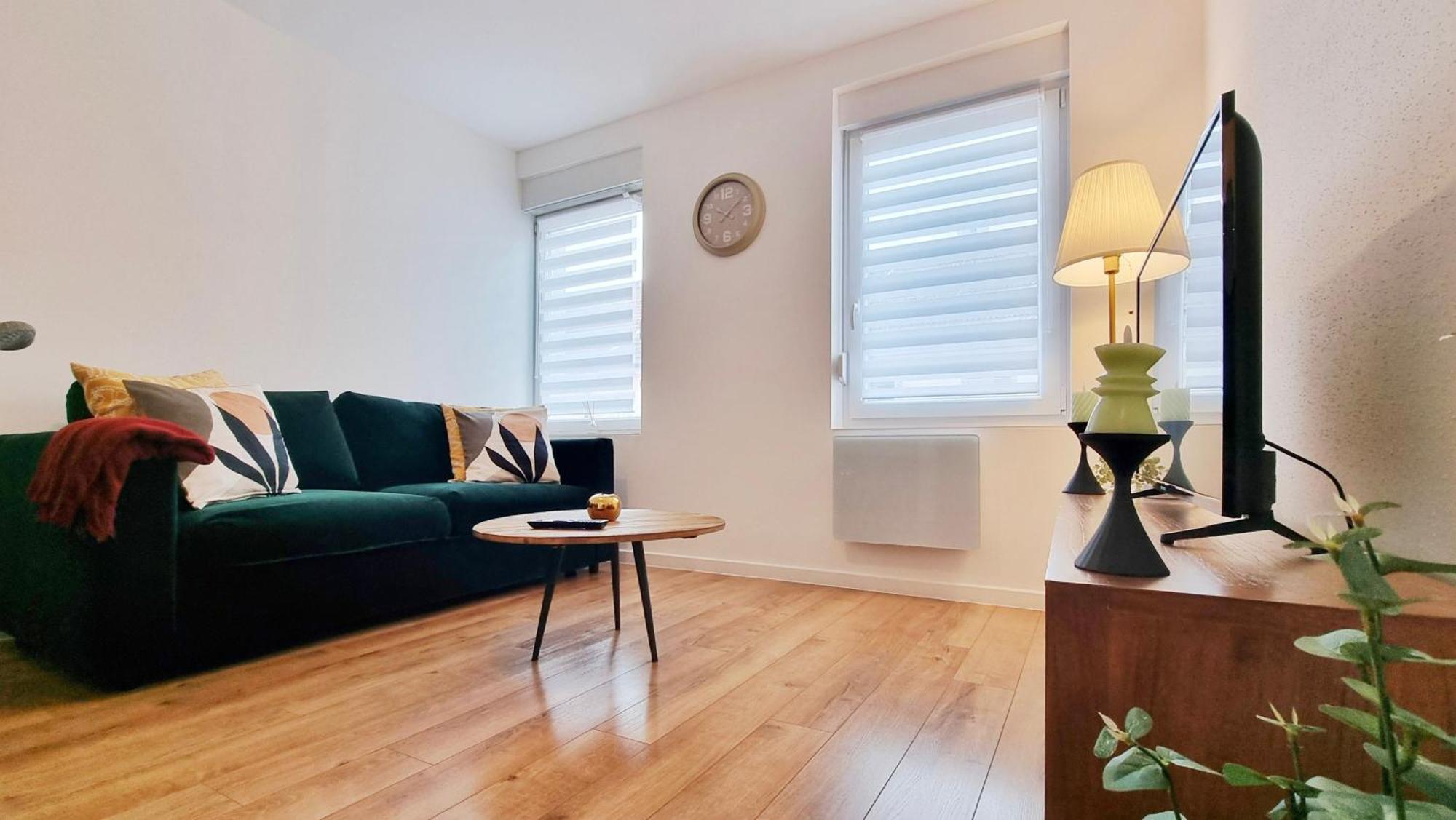 Les Suites Mulhousiennes - Charme & Serenite Mulhouse Eksteriør billede