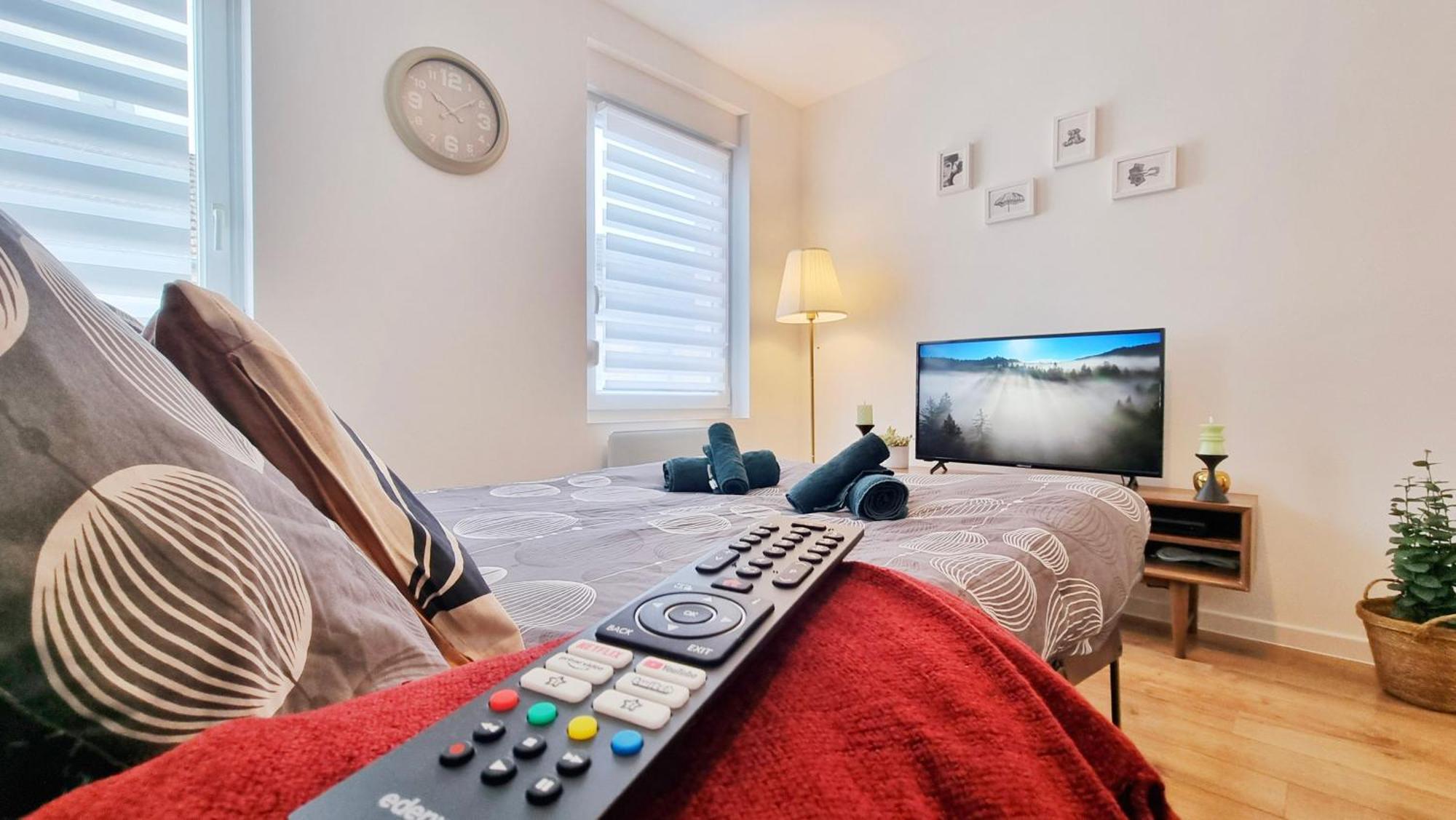 Les Suites Mulhousiennes - Charme & Serenite Mulhouse Eksteriør billede