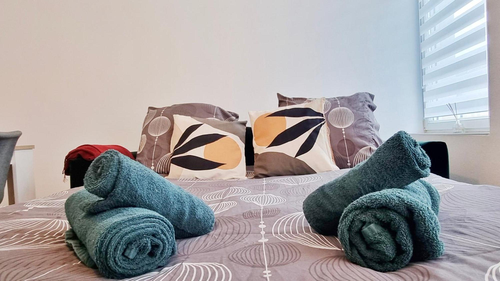 Les Suites Mulhousiennes - Charme & Serenite Mulhouse Eksteriør billede
